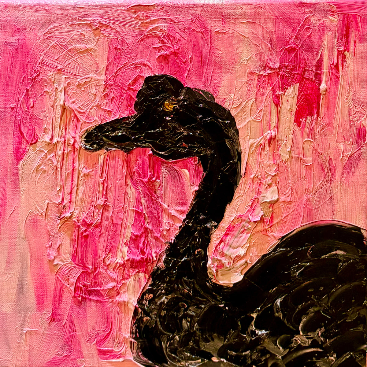 Swan