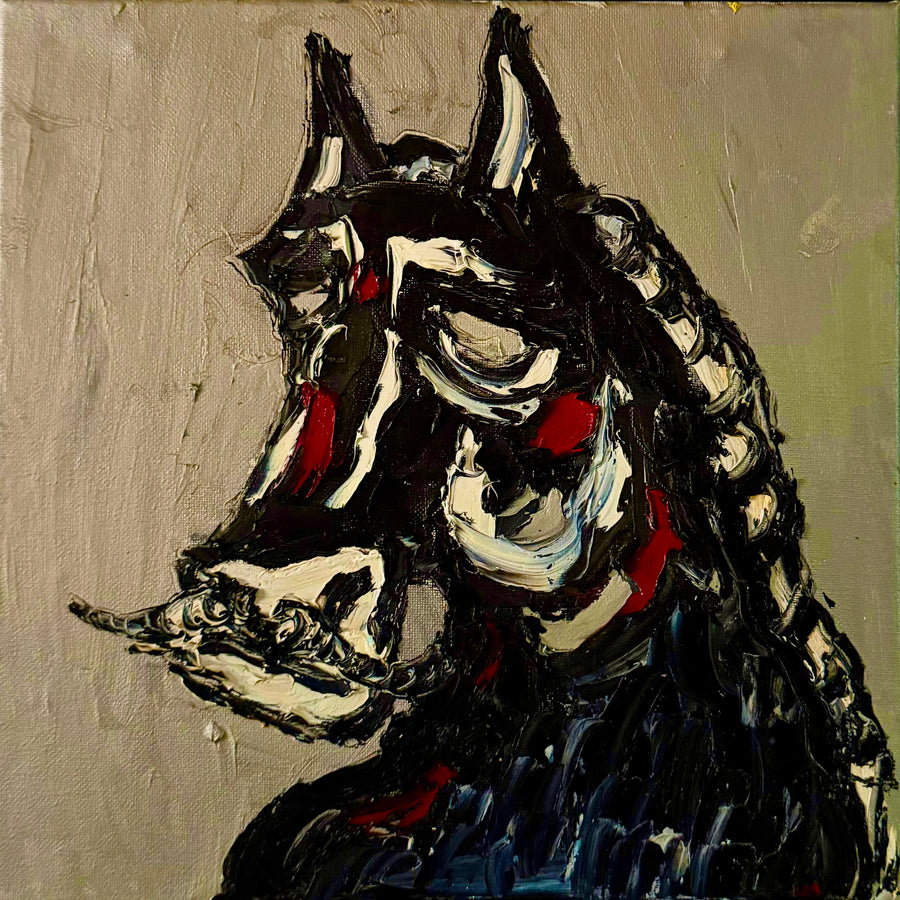Black & White Horse